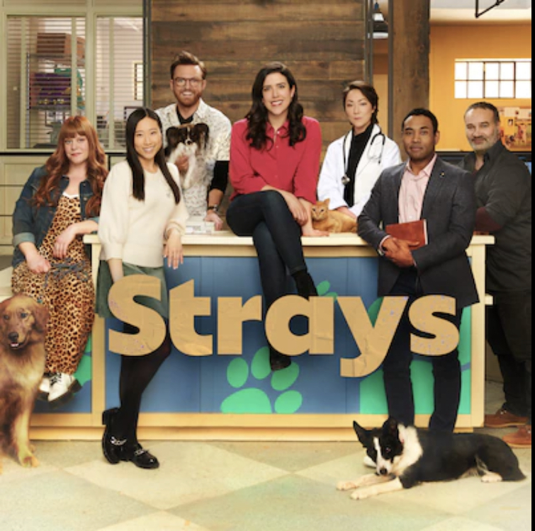 Strays (2021) постер