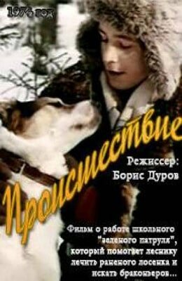 Происшествие (1974) постер