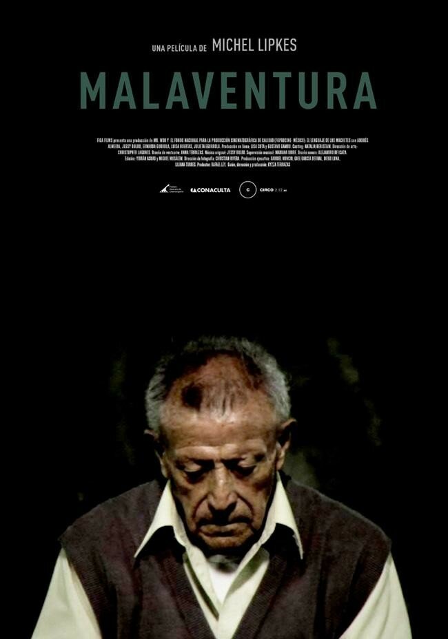 Несчастье (2011) постер