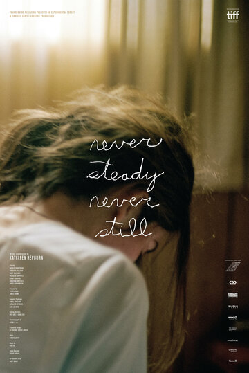 Never Steady, Never Still (2017)